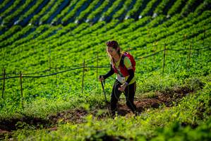 BIB: 
                            <button type="button" onclick="openModal(19160544)" class="btn btn-primary btn-sm float-right btn-popup" data-toggle="modal" data-target=".modal-high-quality">
                        <i class="fas fa-shopping-cart"></i> Add to Cart
                    </button>
                                            <button type="button" onclick="isThisMe(19160544, true)" class="btn btn-success btn-sm float-right btn-popup btn-isme hidden" data-toggle="tooltip" data-placement="bottom" title="นี่คือรูปของคุณใช่ไหม คลิกที่นี่เพื่อเอาเข้าอัลบั้ม">
                        <i class="fas fa-plus"></i> Add to album
                    </button>
                    <button type="button" onclick="isThisMe(19160544, false)" class="btn btn-warning btn-sm float-right btn-popup btn-isnotme hidden">
                        <i class="fas fa-ban"></i> Remove from album
                    </button>